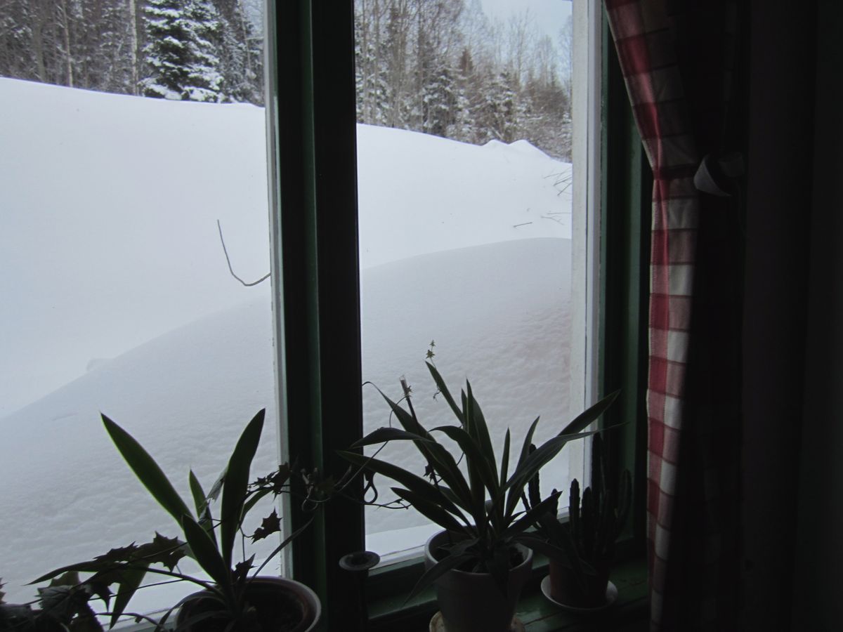 11 Mycket snö på köksfönstret.JPG